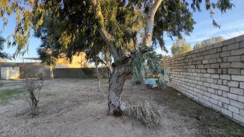 Satılır Torpaq 7.7 sot Xəzər r. - şəkil 3