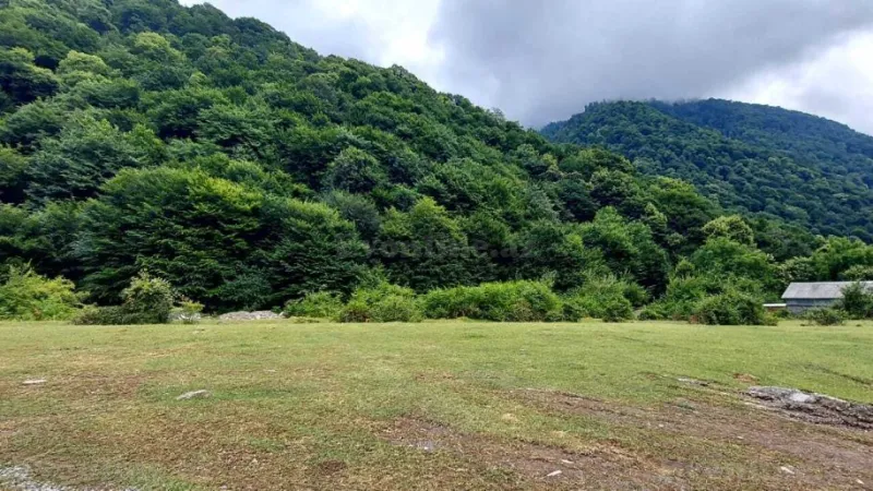 Satılır Torpaq 20.6 sot Qəbələ