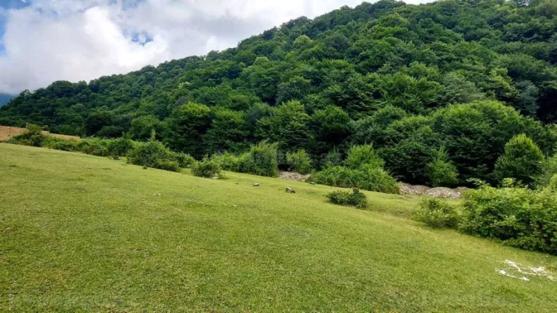 Satılır Torpaq 20.6 sot Qəbələ - şəkil 3