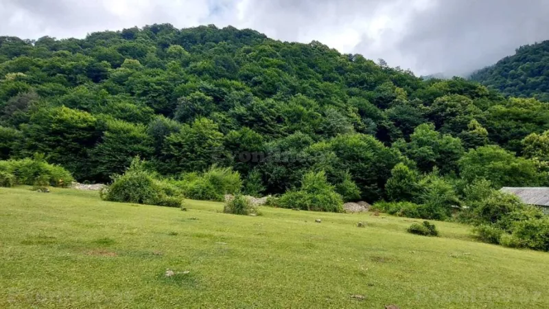 Satılır Torpaq 20.6 sot Qəbələ - şəkil 4