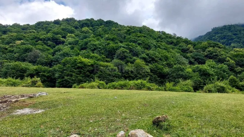 Satılır Torpaq 20.6 sot Qəbələ - şəkil 5