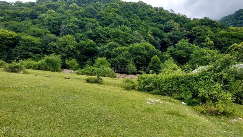 Satılır Torpaq 20.6 sot Qəbələ - şəkil 6