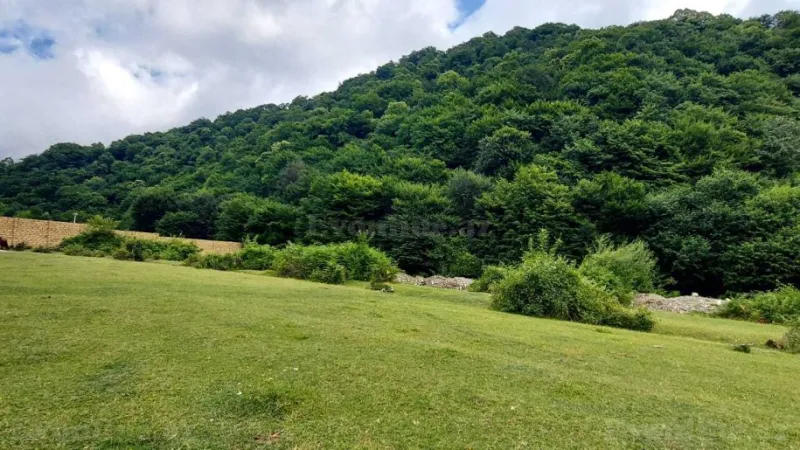 Satılır Torpaq 20.6 sot Qəbələ - şəkil 7