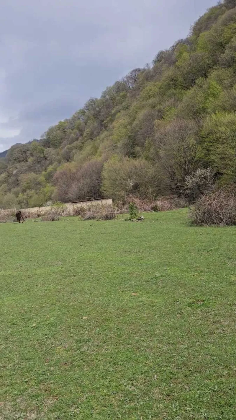 Satılır Torpaq 20.6 sot Qəbələ - şəkil 9