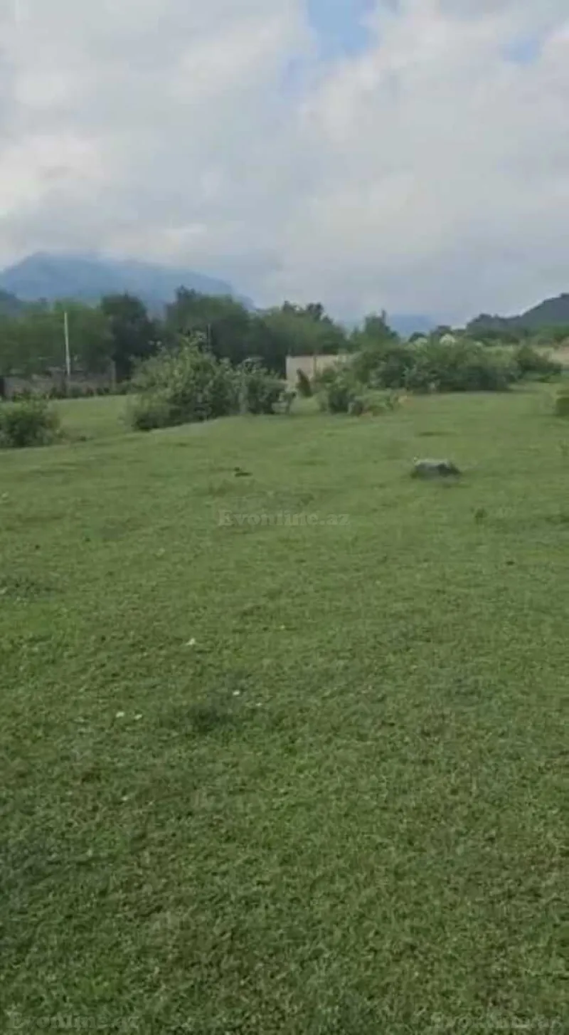 Satılır Torpaq 20.6 sot Qəbələ - şəkil 11