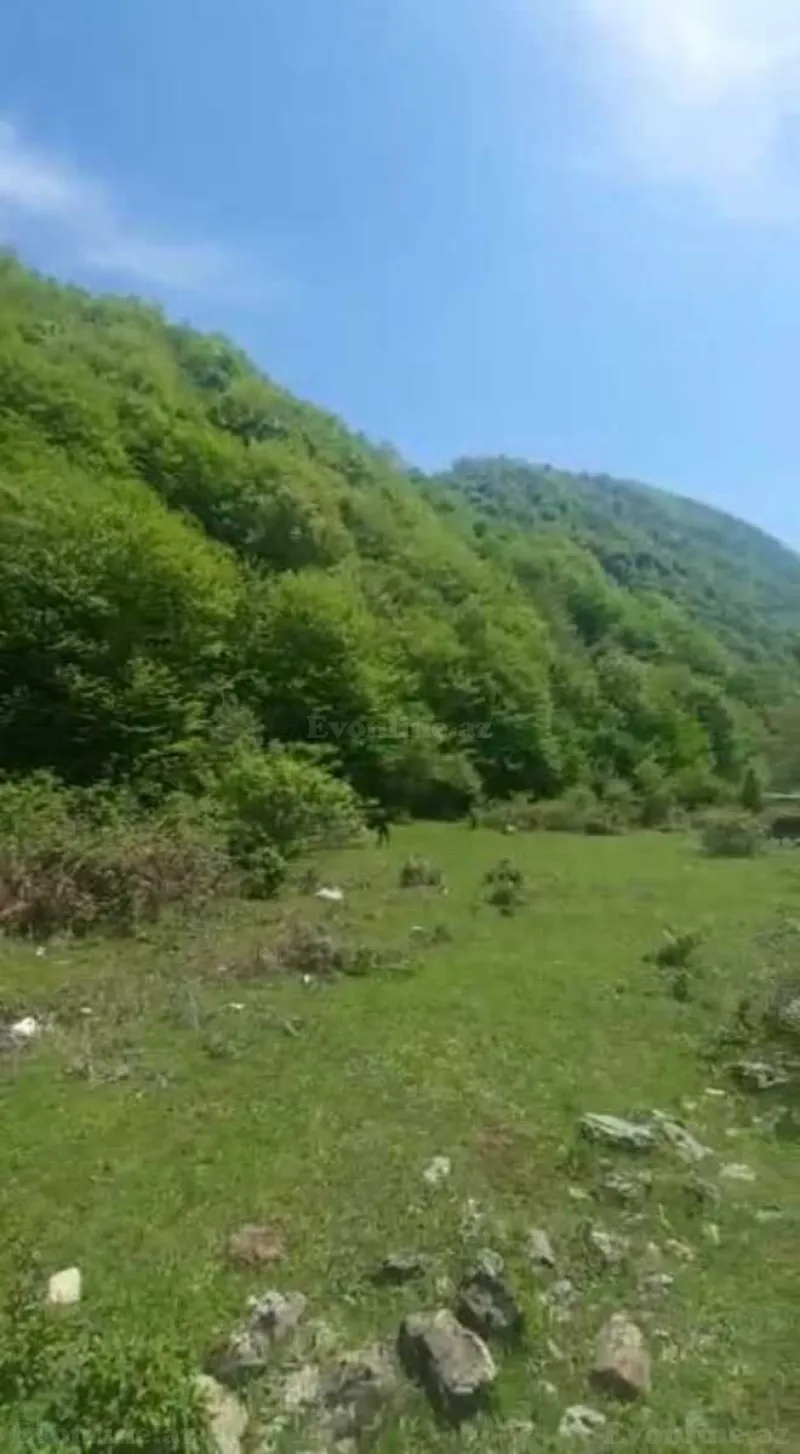 Satılır Torpaq 20.6 sot Qəbələ - şəkil 12