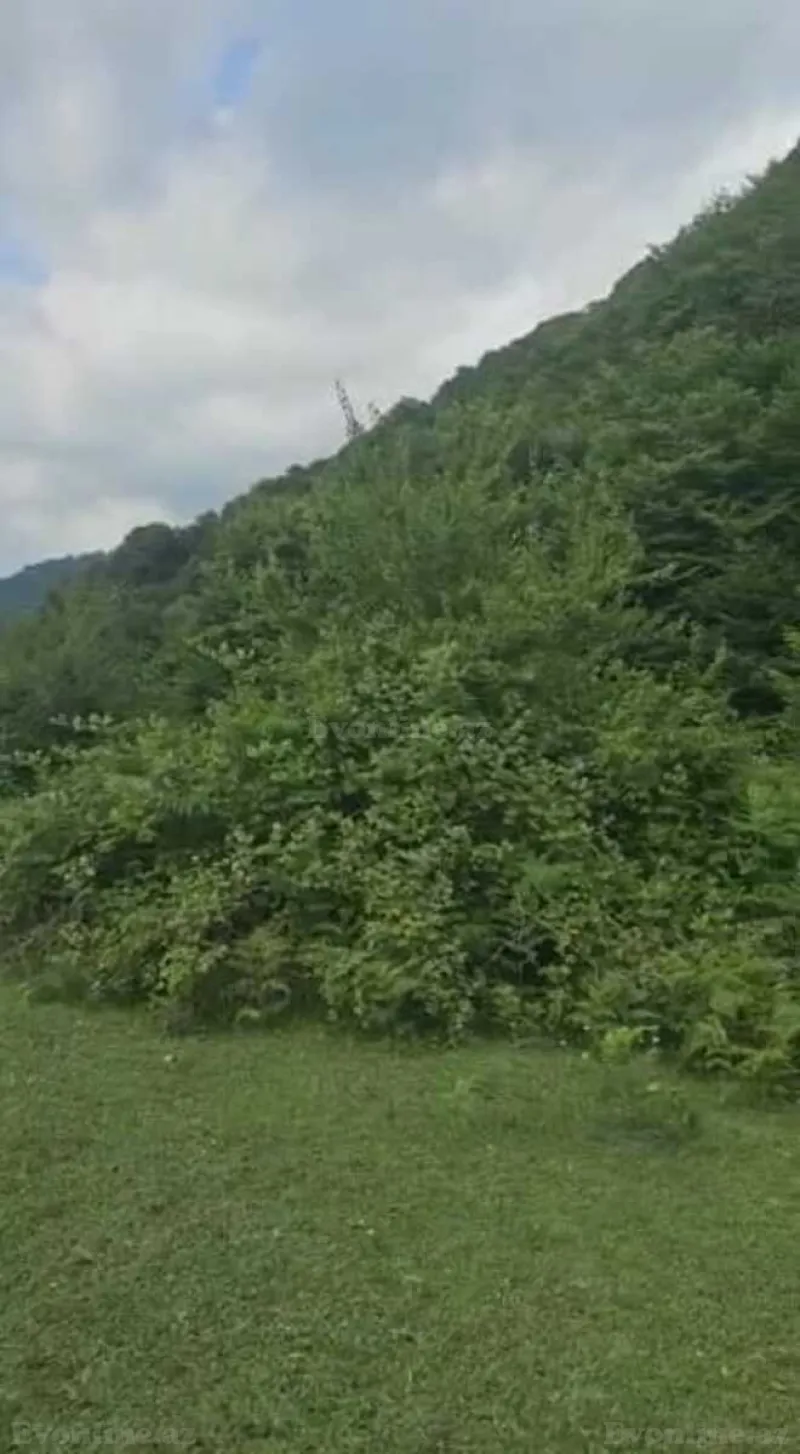 Satılır Torpaq 20.6 sot Qəbələ - şəkil 13