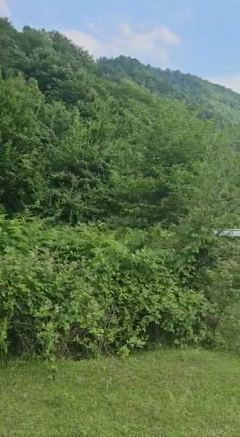 Satılır Torpaq 20.6 sot Qəbələ - şəkil 14