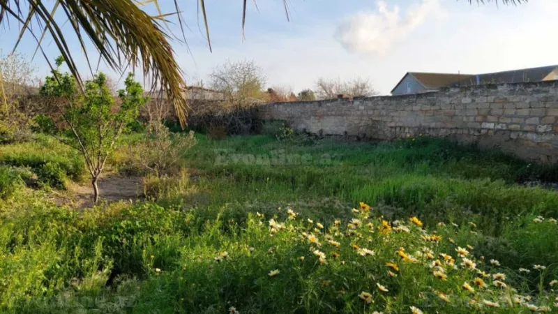 Satılır Torpaq 8 sot Maştağa - şəkil 4