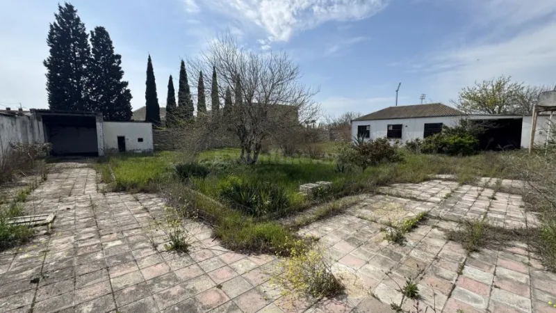 Satılır Torpaq 12 sot Binə - şəkil 5