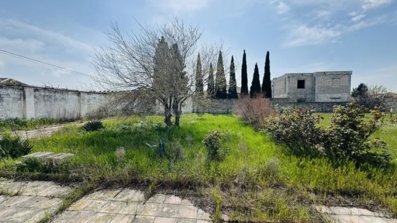 Satılır Torpaq 12 sot Binə - şəkil 6