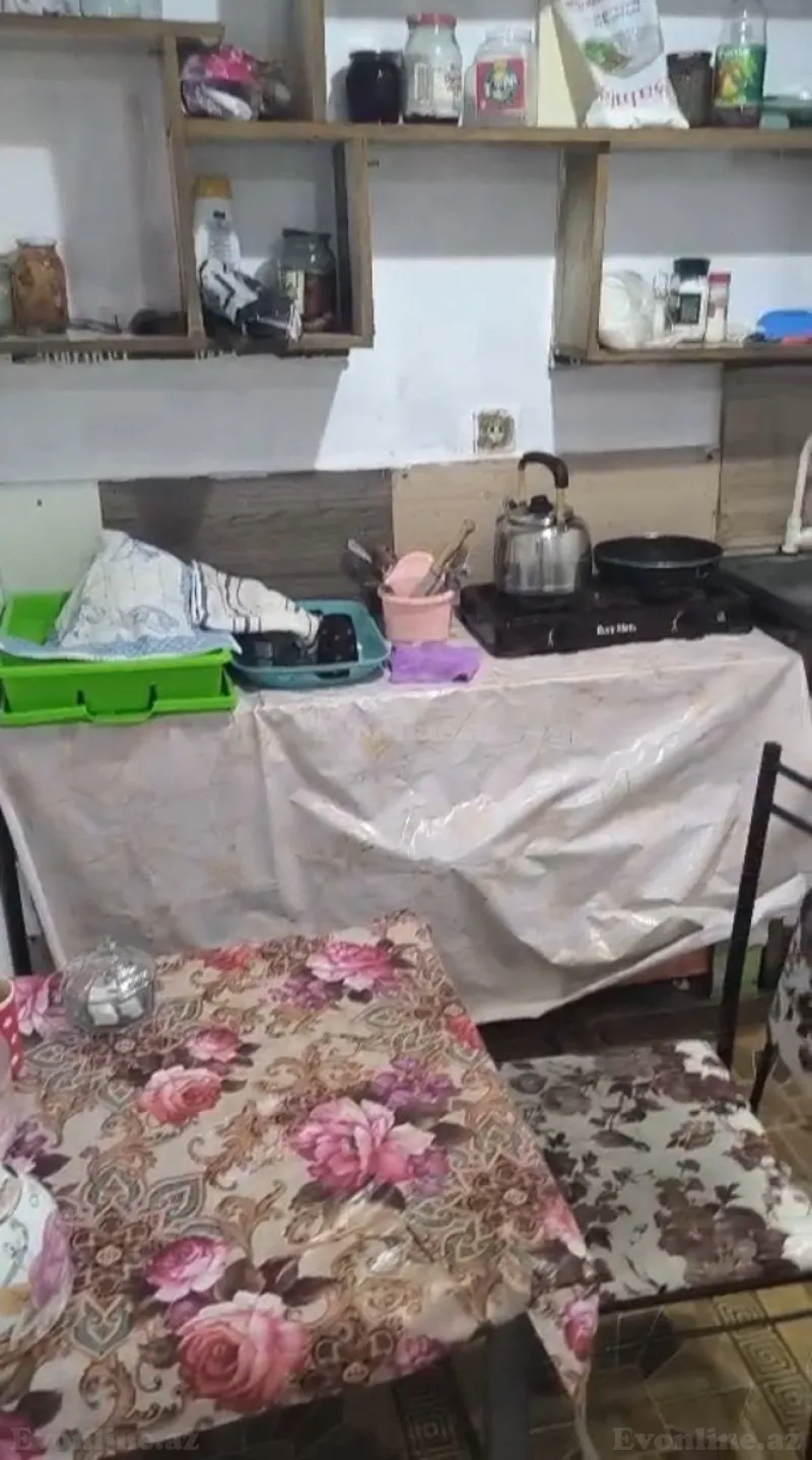 Satılır Obyekt 10000 m² İmişli - şəkil 7