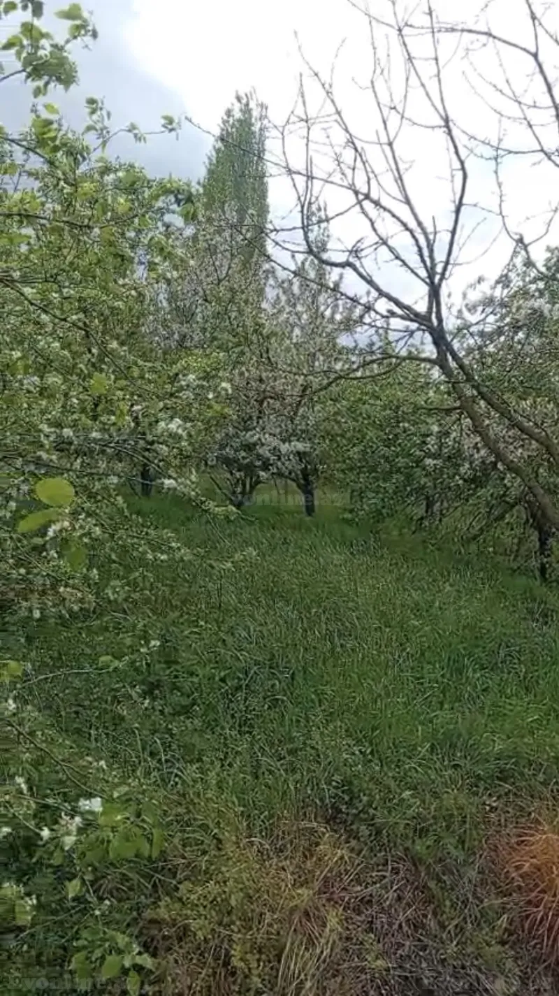 Satılır Torpaq 14 sot Bərdə - şəkil 2