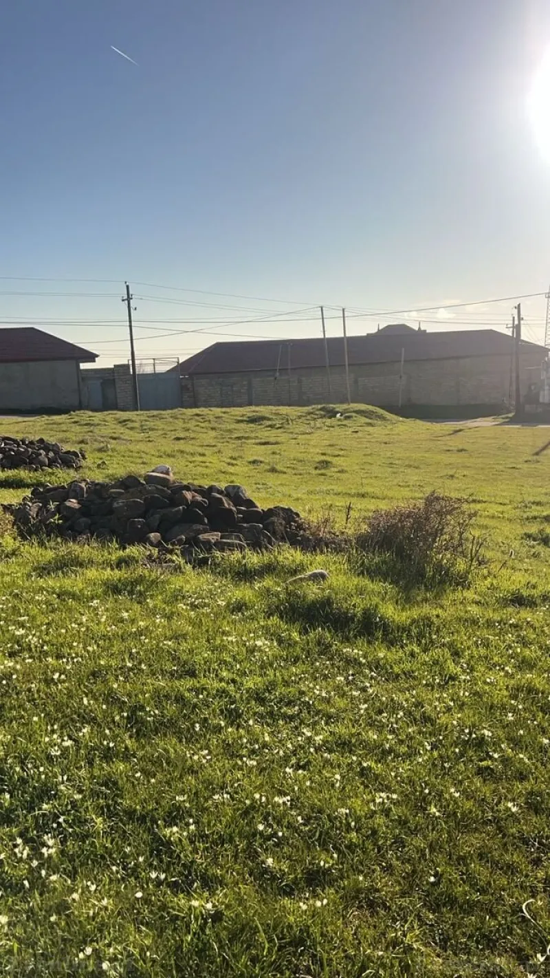 Satılır Torpaq 12 sot Şamaxı