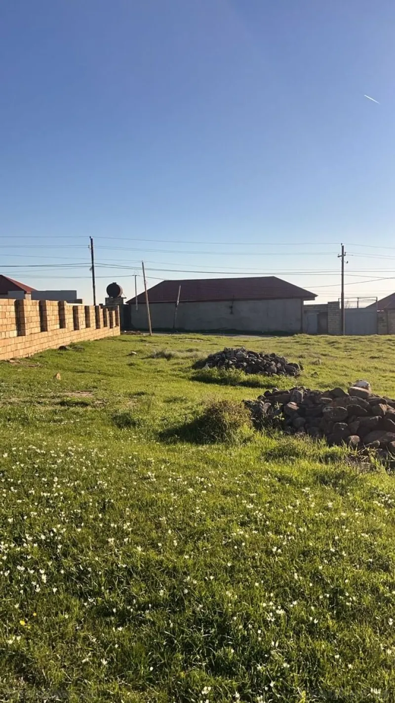 Satılır Torpaq 12 sot Şamaxı - şəkil 2