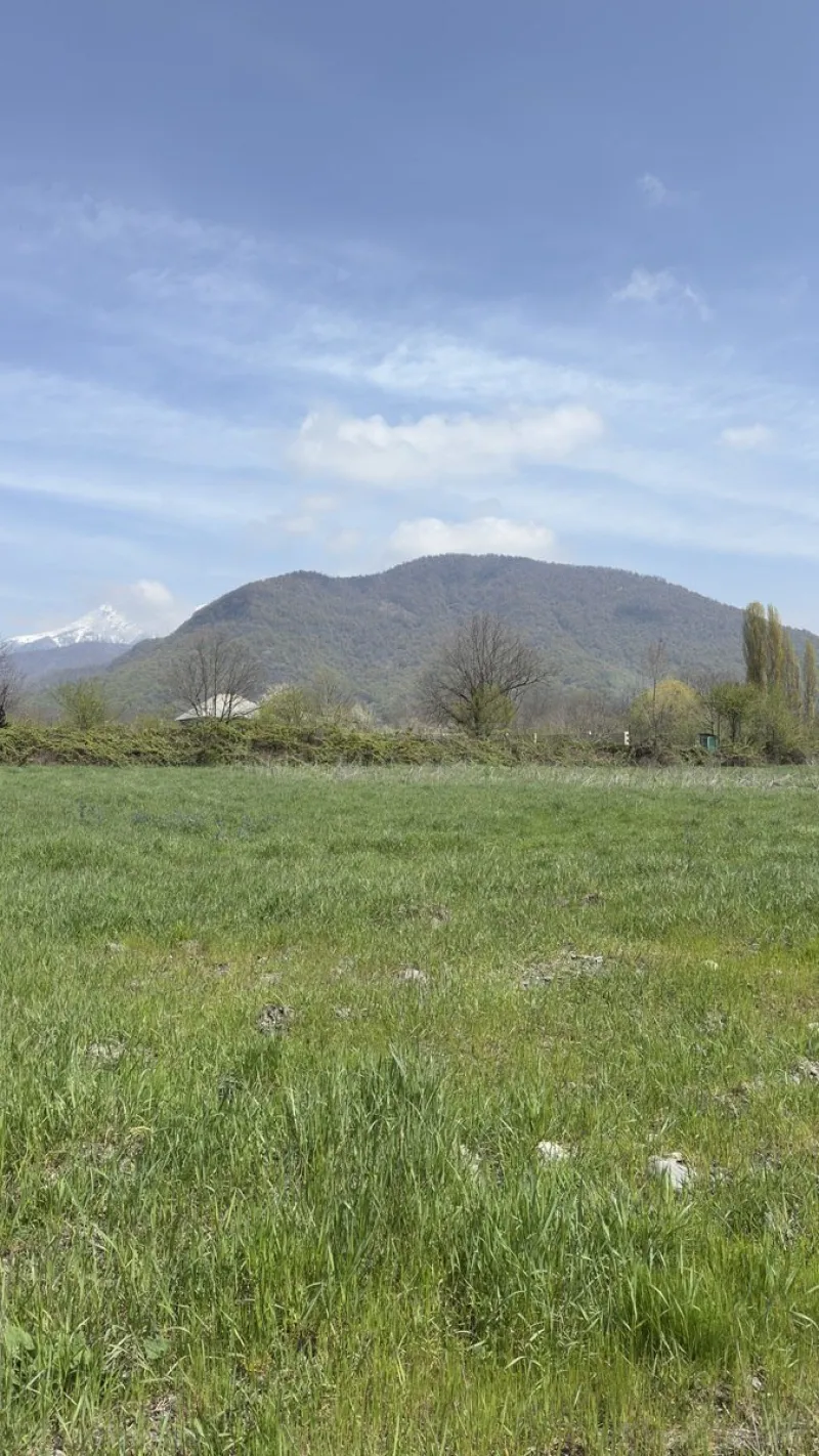 Satılır Torpaq 35 sot Qəbələ