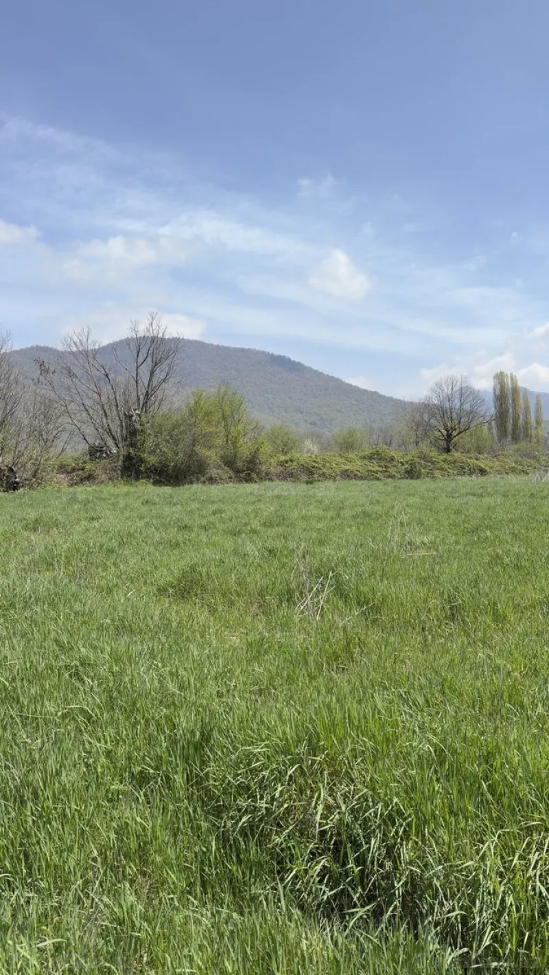 Satılır Torpaq 35 sot Qəbələ - şəkil 2