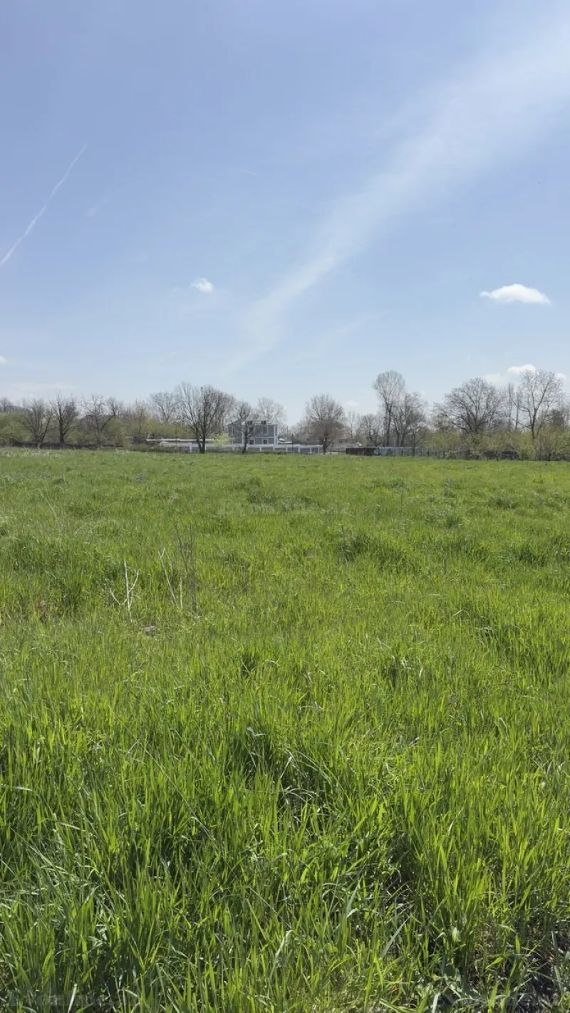 Satılır Torpaq 35 sot Qəbələ - şəkil 6