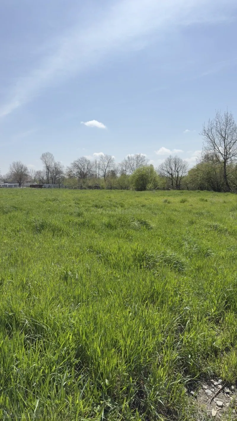 Satılır Torpaq 35 sot Qəbələ - şəkil 7