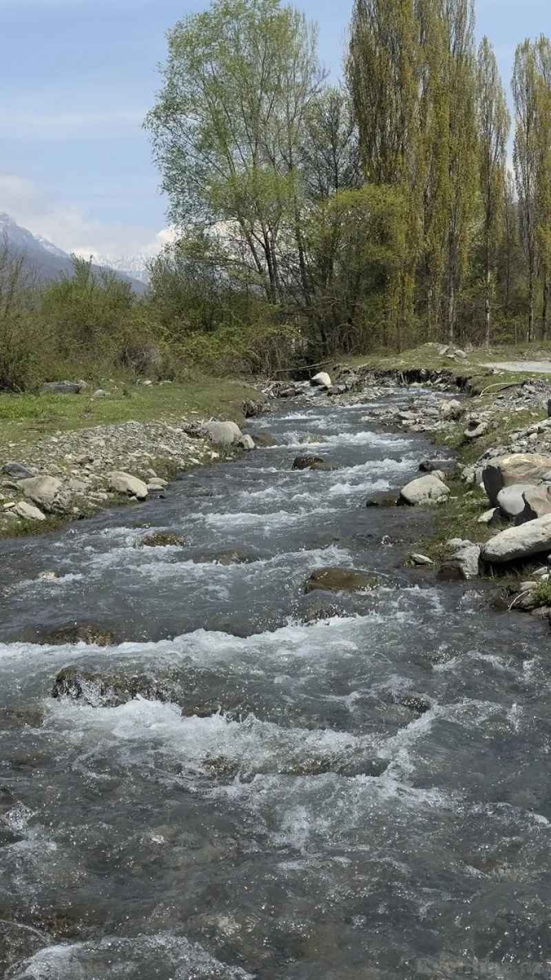 Satılır Torpaq 35 sot Qəbələ - şəkil 9