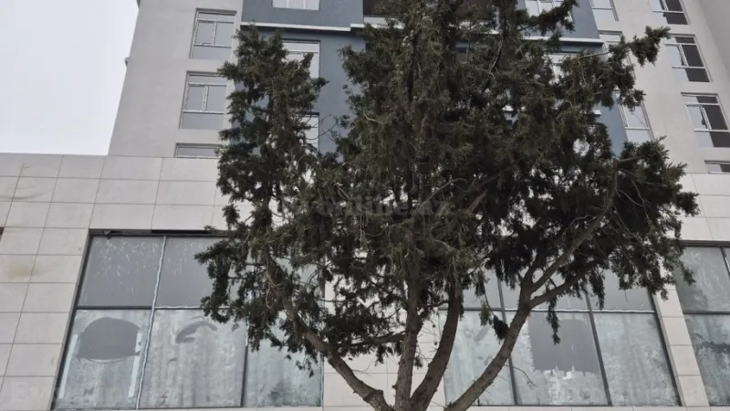 2 otaqlı Mənzil 87.4 m² Xırdalan Satılır