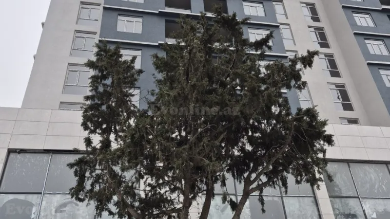 Satılır 2 otaqlı Mənzil Yeni tikili 87.4 m² Xırdalan - şəkil 3