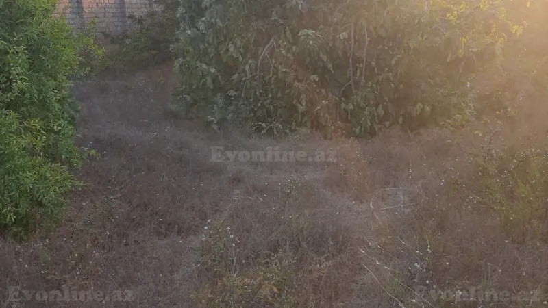 Satılır Torpaq 12 sot Nardaran - şəkil 15