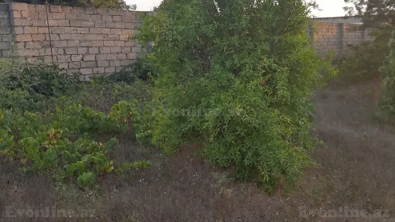 Satılır Torpaq 12 sot Nardaran - şəkil 16