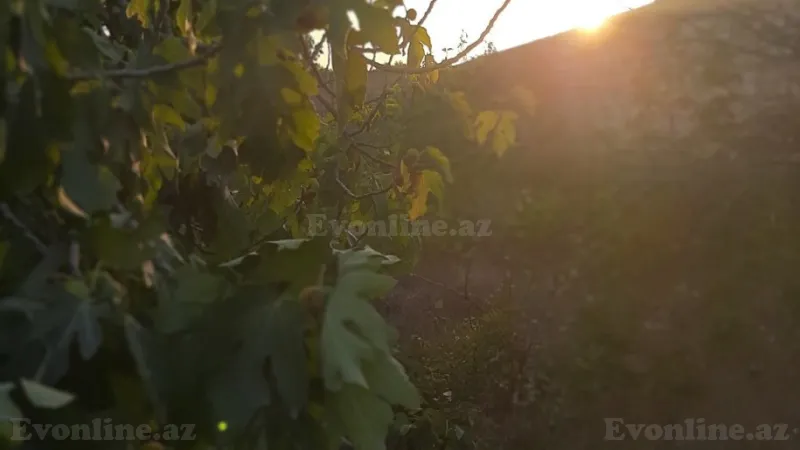 Satılır Torpaq 12 sot Nardaran - şəkil 18