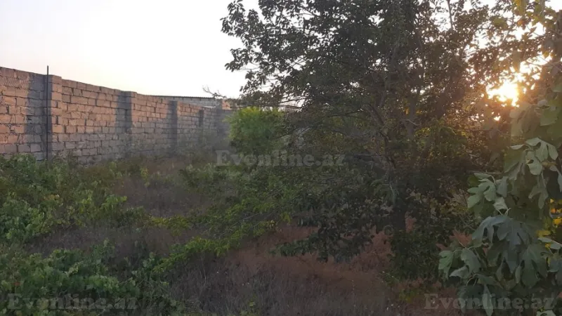 Satılır Torpaq 12 sot Nardaran - şəkil 20