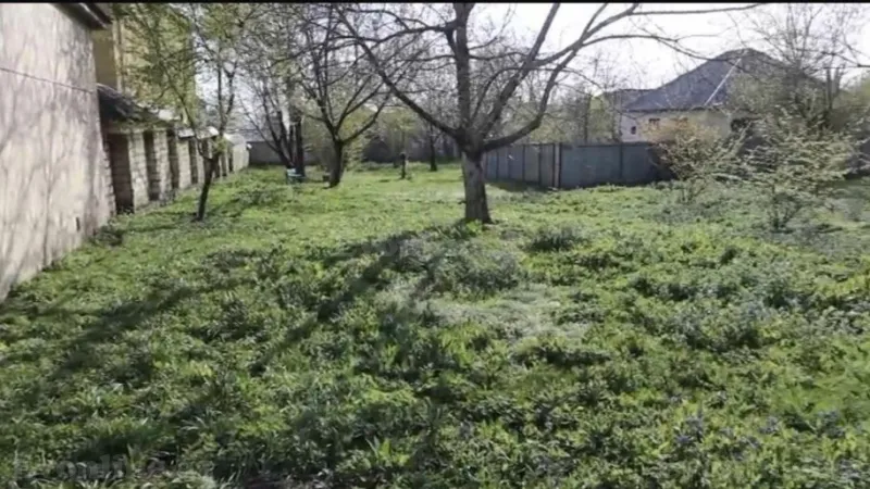 Satılır Torpaq 20 sot Qəbələ