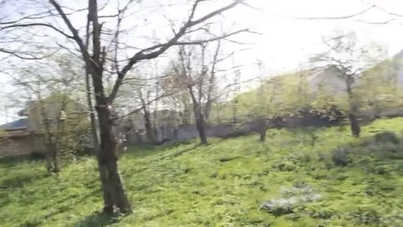 Satılır Torpaq 20 sot Qəbələ - şəkil 4