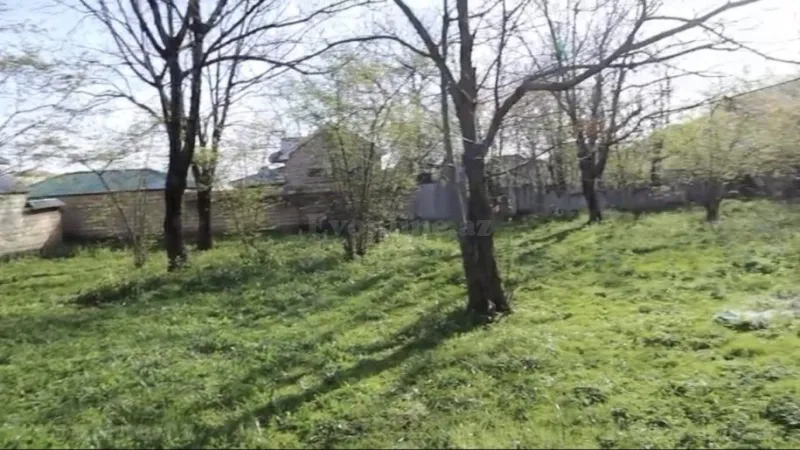 Satılır Torpaq 20 sot Qəbələ - şəkil 5