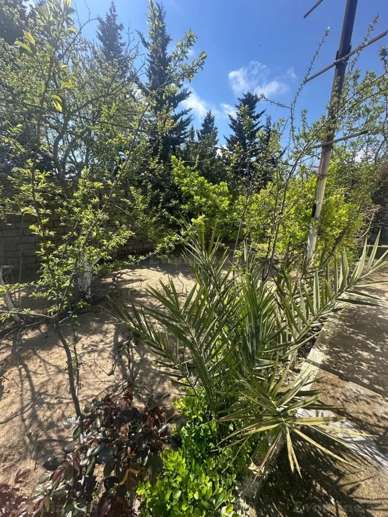 Torpaq Bilgəh Satılır