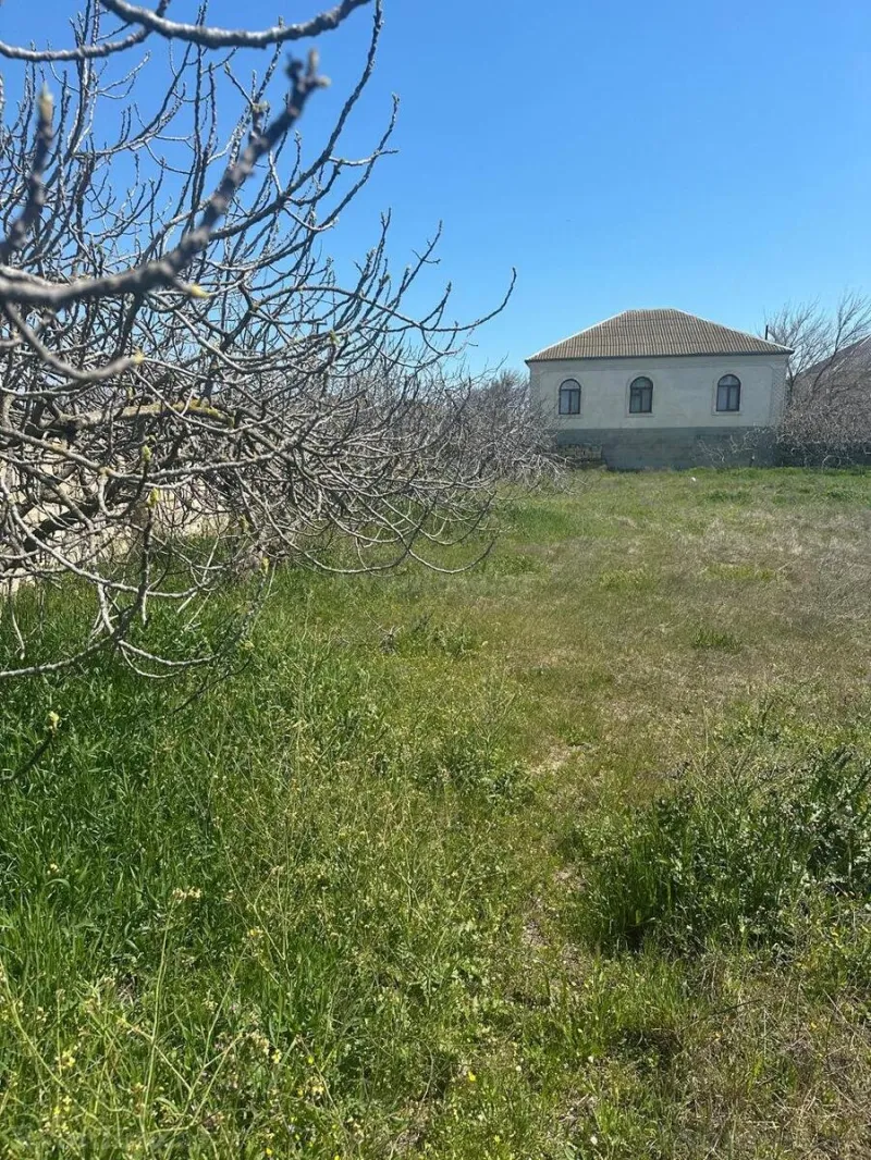 Satılır Torpaq 6 sot Bilgəh - şəkil 2