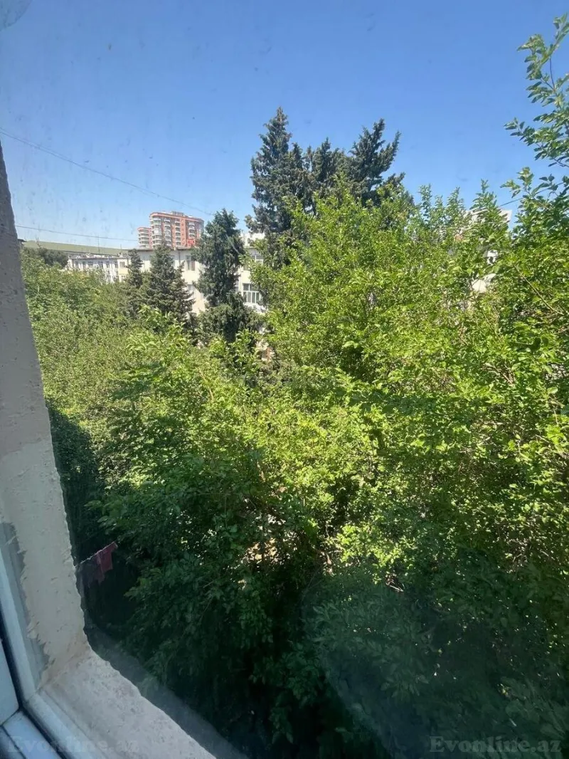 Kirayə verilir 2 otaqlı Mənzil Köhnə tikili 50 m² 1-ci mikrorayon - şəkil 14