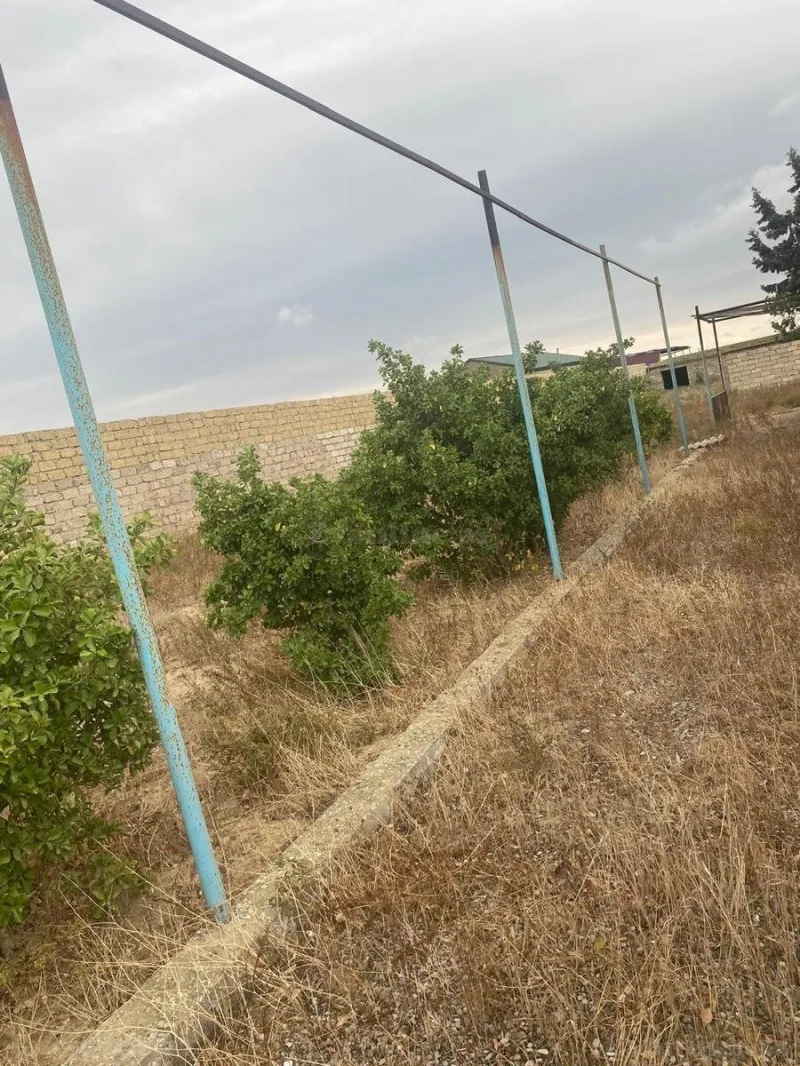 Satılır Torpaq 25 sot Kürdəxanı - şəkil 5