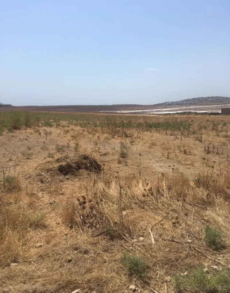 Satılır Torpaq 56 sot Novxanı