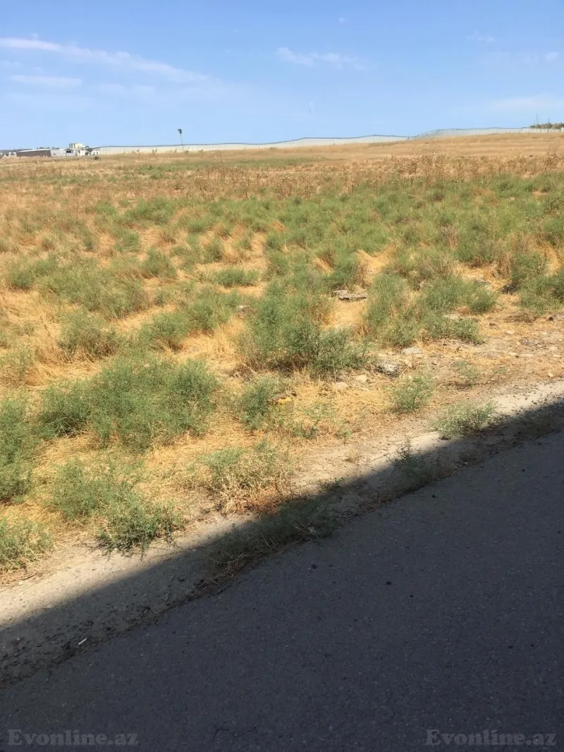 Satılır Torpaq 56 sot Novxanı - şəkil 4