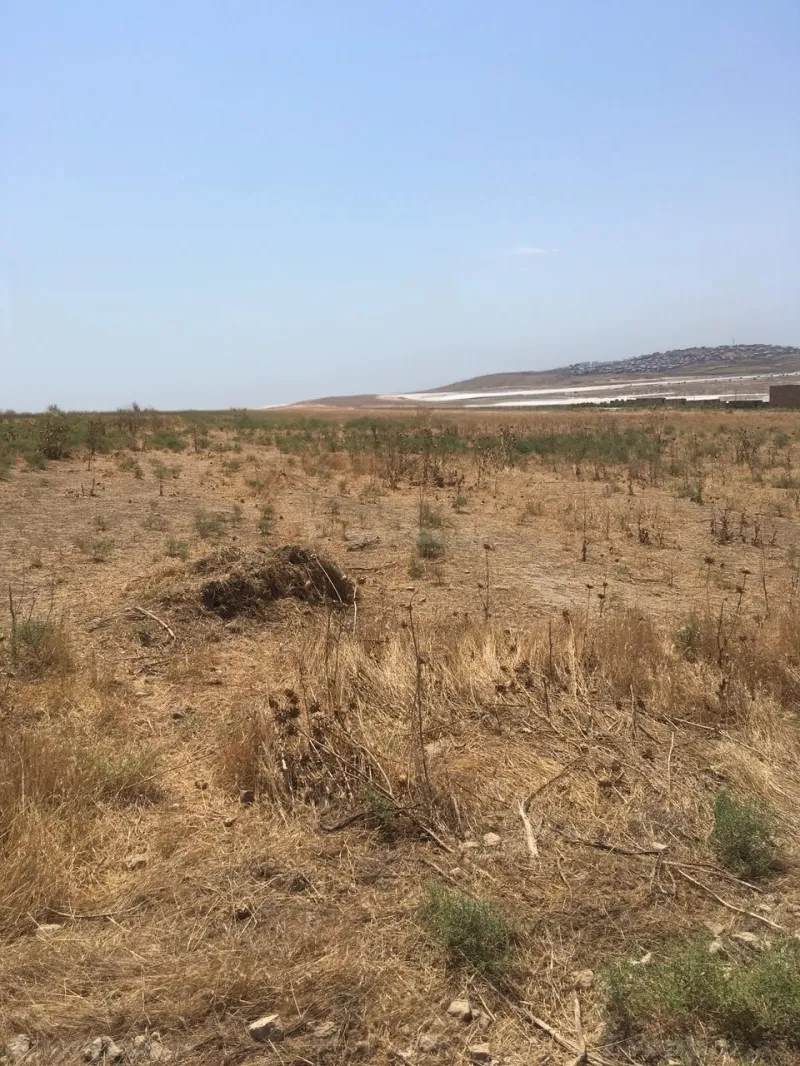 Satılır Torpaq 56 sot Novxanı - şəkil 5