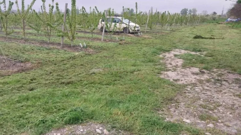 Satılır Torpaq 240 sot Xaçmaz - şəkil 6