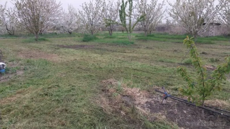 Satılır Torpaq 240 sot Xaçmaz - şəkil 9