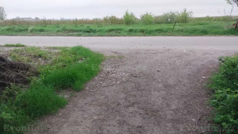 Satılır Torpaq 240 sot Xaçmaz - şəkil 11