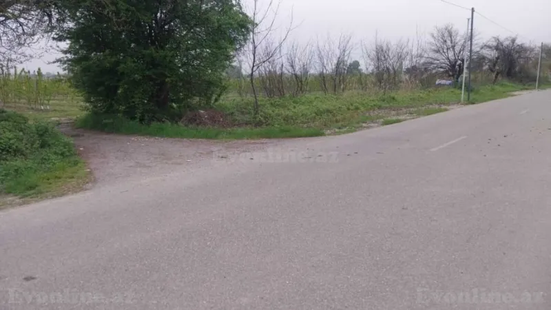 Satılır Torpaq 240 sot Xaçmaz - şəkil 12