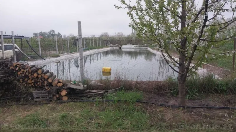 Satılır Torpaq 240 sot Xaçmaz - şəkil 14