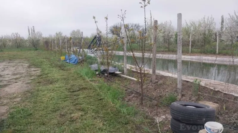 Satılır Torpaq 240 sot Xaçmaz - şəkil 15