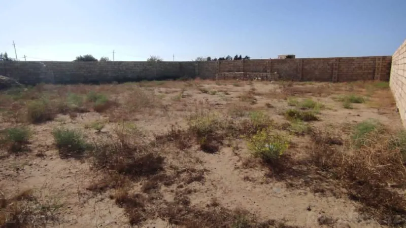 Satılır Torpaq 6 sot Sabunçu r. - şəkil 4