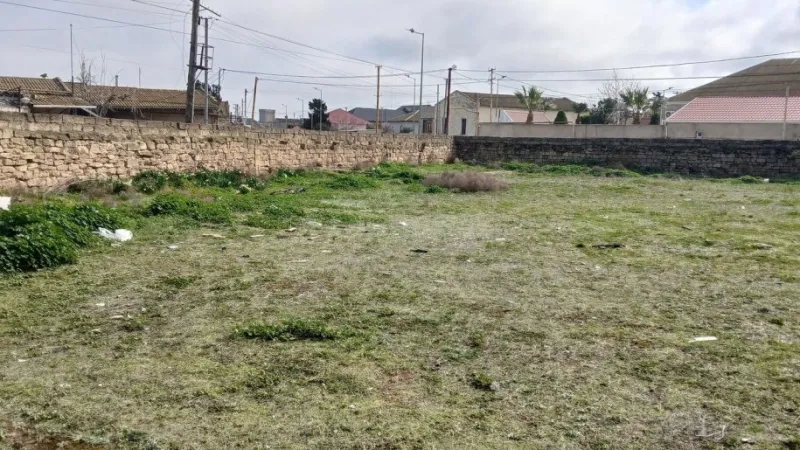 Satılır Torpaq 6 sot Şağan - şəkil 2