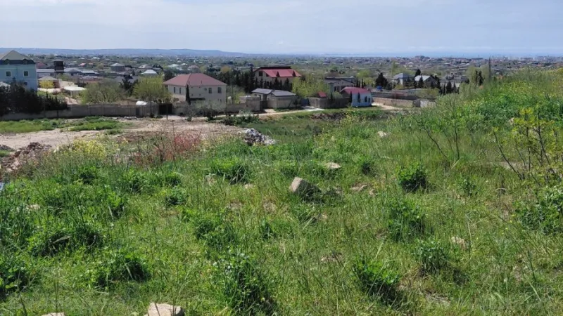 Satılır Torpaq 230 sot Maştağa - şəkil 4