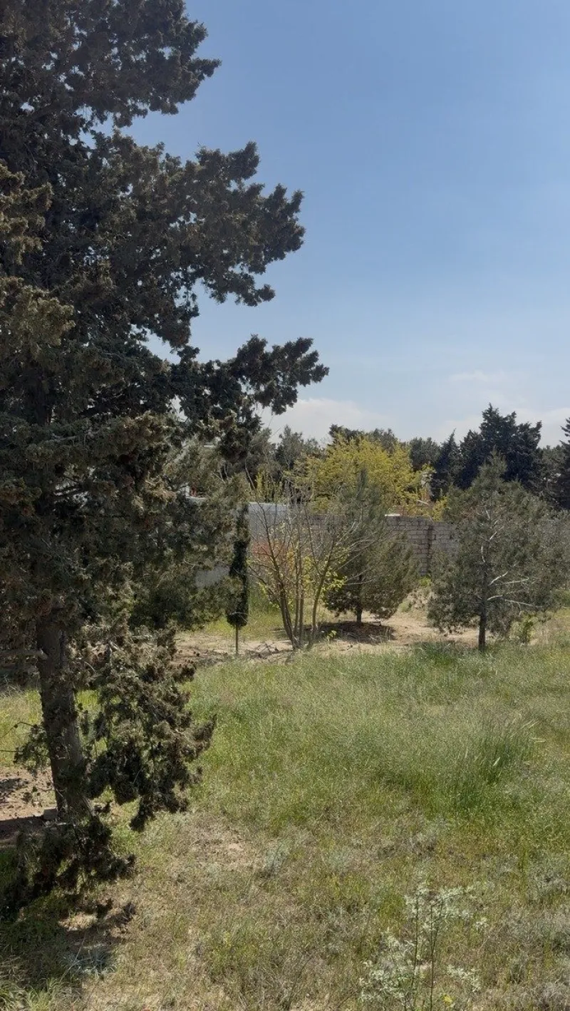 Satılır Torpaq 12 sot Nardaran - şəkil 2